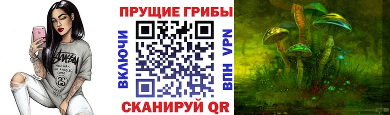 Псилоцибиновые грибы Psilocybine cubensis  гидра зеркало  Александров  где можно купить наркотик 